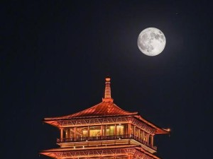 VivoY51A相机性能解析（探索VivoY51A相机的卓越拍摄功能）