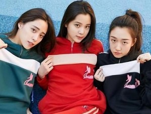 合拍社交（以合拍社交为主题的探讨和应用）