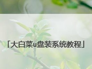 大白菜手动安装系统教程（详细教你如何手动安装系统，轻松搞定电脑重装！）