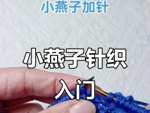 电脑针织手工教程全套（学习电脑针织手工技巧，轻松打造个性时尚）
