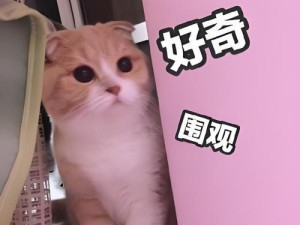 以竟加记录仪（功能全面、易于安装和操作，畅享无忧驾驶）