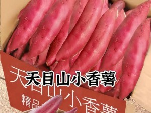以朵唯薄金贵族功能的卓越表现（探索高性能薄金贵族的多功能优势）