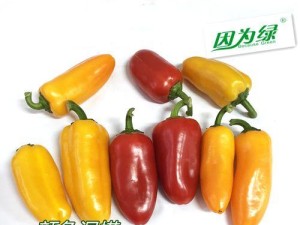 甜辣椒刷机助手的功能和特点（轻松实现手机刷机，全面提升用户体验）