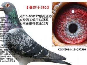 红平果信鸽——一种高效传递信息的信鸽品种（红平果信鸽的特点、培育方法以及应用价值）