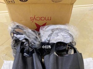 探索Coach爱玛仕小包的魅力（品质与时尚的完美结合——以Coach爱玛仕小包为例）
