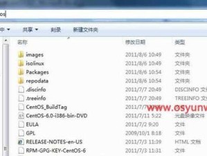 本地安装和U盘安装教程（通过简单步骤，快速实现本地安装和U盘安装，省去复杂麻烦的操作）