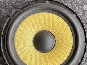 探索pioneer音响的卓越品质（揭秘pioneer音响的细节与声音魅力）
