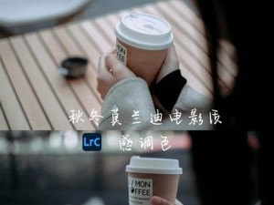 以罗大佑专辑调色教程（以罗大佑专辑调色教程）
