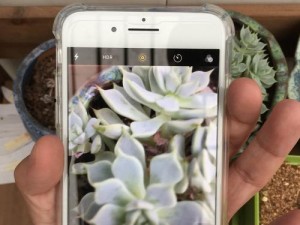 苹果7Plus发热问题分析与解决方案（深入探究苹果7Plus发热原因，帮你解决使用中的不便）