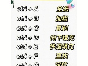 Excel常用快捷键命令大全（提高工作效率的必备技巧）