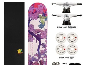 新手入门滑板选择指南（如何选择适合新手的滑板？）