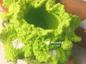 大白菜装机教程（打造高效装机利器，快速提升操作效率）