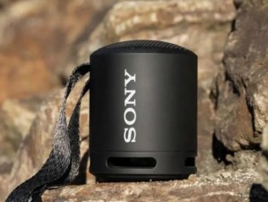 索尼SRSXB10音箱的性能和特点剖析（让你的音乐更加震撼的小型蓝牙音箱）