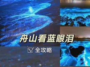 HTCU11的一切（探索HTCU11的卓越功能与创新设计）