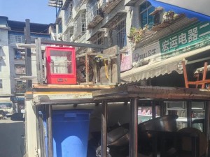 回收家电，开启绿色循环（解析家电回收生意的前景与挑战）