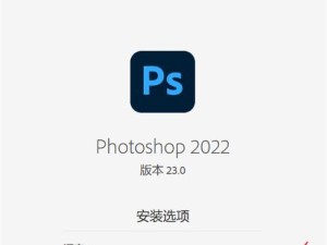 电脑上如何安装PE系统（详细教程及步骤）