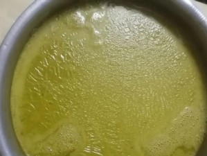 揭秘诺顿32（探索诺顿32的功能和性能，保护您的电脑不受威胁）