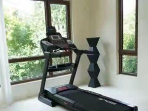 SOLE跑步机的优势与使用技巧（全面评析SOLE跑步机，让你迈向健康之路）