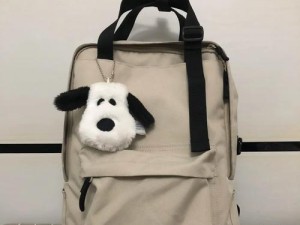 muji双肩包的品质与功能解析（舒适轻便，实用耐用，满足多种需求的muji双肩包）