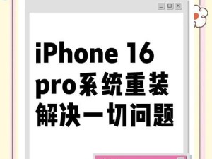 使用PE系统安装苹果系统的完整教程（一步步教你在PC上安装苹果系统的方法及注意事项）