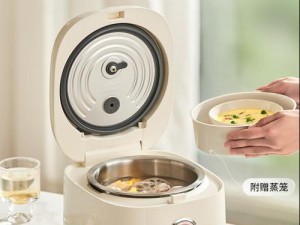 国内外知名电饭煲品牌大对比（五大电饭煲品牌的性能、设计与价格对比）