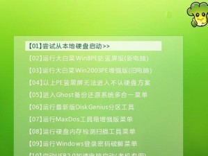 电脑系统U盘启动教程（详解电脑系统U盘启动方法，让你轻松制作和使用U盘系统）