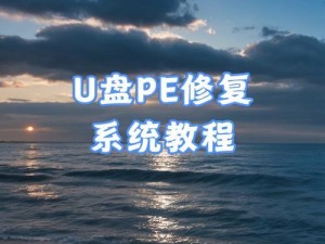 使用U盘重装系统的详细教程（轻松快捷地重装电脑系统，只需几个简单步骤！）