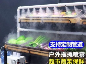 奔腾加湿器的性能和优点（提高空气湿度，改善室内环境）