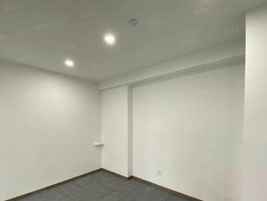 优盘时代（便携、高效、安全——优盘时代给我们带来的便利和挑战）