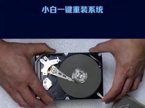 使用U盘安装大白菜系统的步骤详解（一步步教你如何通过U盘安装大白菜系统）