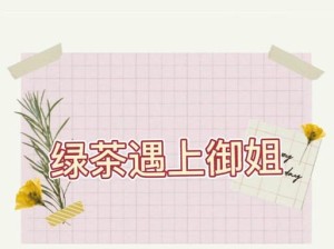 御姐电脑拍照教程（通过电脑拍摄风景照片，让你的作品更加出彩）