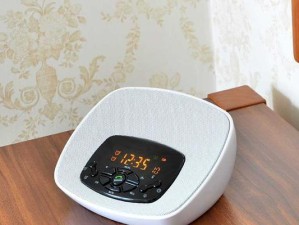 蔡琴音箱的音质体验与性能评测（一起来聆听蔡琴音箱的独特魅力吧！）