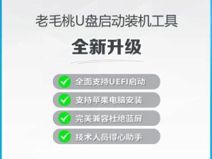 系统之家PE安装教程（一站式解决电脑故障的关键步骤和技巧）