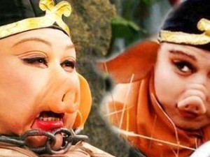 风致数据线（领先科技高品质材料一线完美连接）