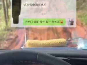 音响线材煲的细节与技巧（探索音响线材煲的真谛，实现高品质音响体验）