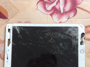 如何修复爱派的屏幕问题（从根本解决爱派屏幕故障的方法与技巧）