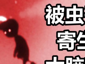 探索地狱边境（压抑、刺激、独特——这是一款让你迷失在地狱边境的游戏体验）
