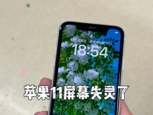 iPhone连接电脑显示错误的解决方法（疑难杂症统统搞定，让你的iPhone和电脑保持良好连接）