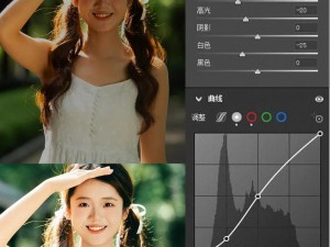 电脑美食剪辑调色教程（打造精美美食视频，学习电脑剪辑调色技巧）