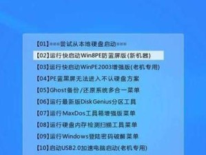 u大白菜安装系统教程——轻松实现个人定制化系统（通过u大白菜自定义安装，打造专属于你的系统）