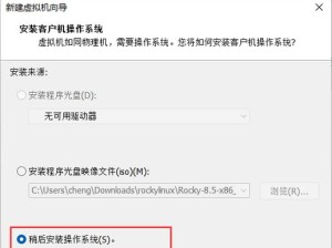 使用原版镜像系统安装教程（详细指南及步骤，轻松安装原版镜像系统）