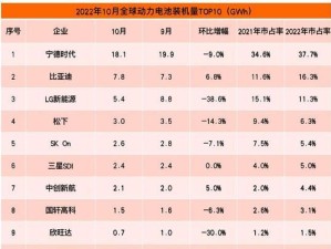 国内新能源电池排名前十名及关键技术分析（挖掘新能源电池行业的领军企业和创新突破）