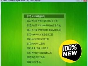 大白菜U盘设置U盘启动教程（一步一步教你如何使用大白菜U盘设置U盘启动）
