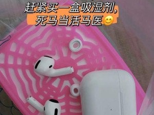 苹果耳机掉水后的修复方法（水中的）