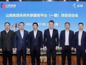 王金蝶（领先市场的企业管理软件提供商）