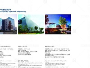 大连IT产业的发展现状与前景（大连IT产业的关键发展因素及市场竞争力分析）