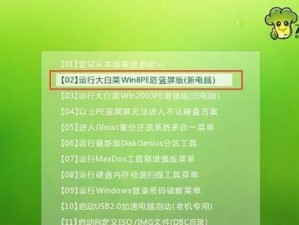 大白菜PE启动盘教程（手把手教你制作一张功能强大的大白菜PE启动盘）
