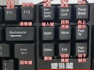 手把手教你安装电脑键盘（详细步骤让你轻松完成）