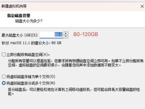 以大白菜PE如何使用ISO装系统（轻松安装操作系统的必备工具大白菜PE）