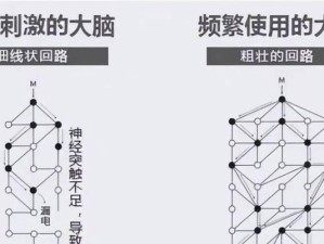 如何提高大脑智力？（探索大脑聪明的奥秘，助你变得更聪明！）